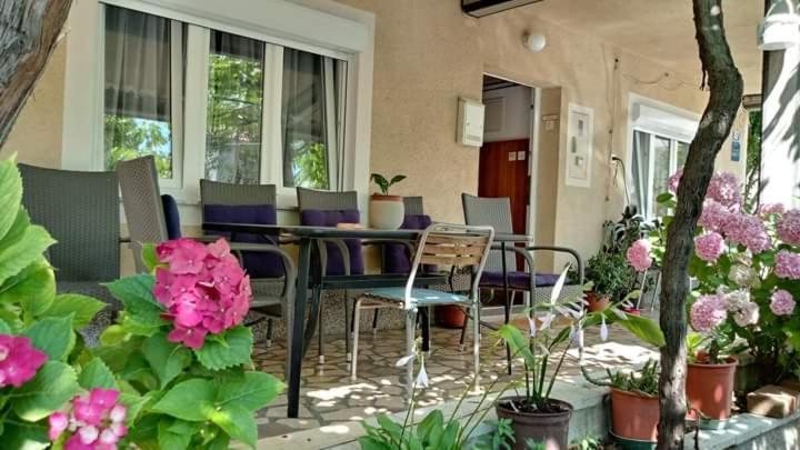 Apartamento Apartman Paulina Selce Exterior foto